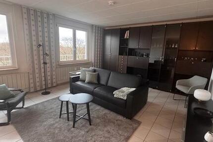 Wohnen auf Zeit Offenbach am Main - 1.5 Zimmer, 80 m&sup2;, 890&euro; | Angebot:26278409