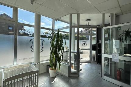 Ladenlokal Jungferntal (aktuell Hundesalon) zimmer