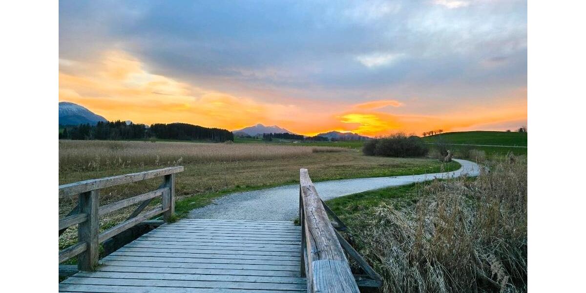 Mitbewohnerin für ein Haus WG 5 zimmer