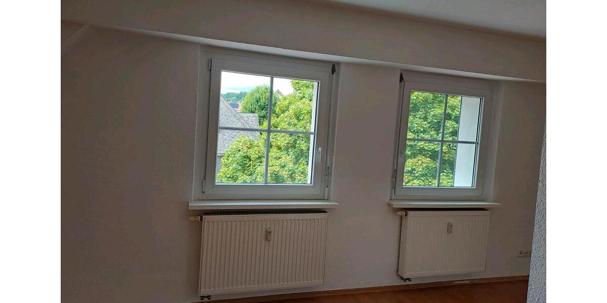 helle, tageslichtdurchflutete DG-Wohnung in Bischofsheim (Rhön) 1 zimmer