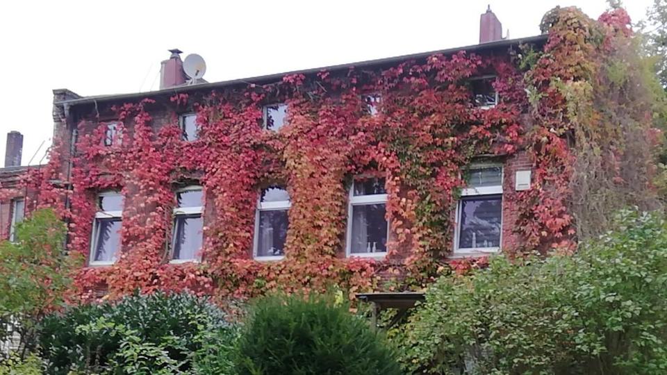 Dachgeschoßwohnung Schortens - 5 Zimmer, 110 m&sup2;, 750&euro; | Angebot:25822443