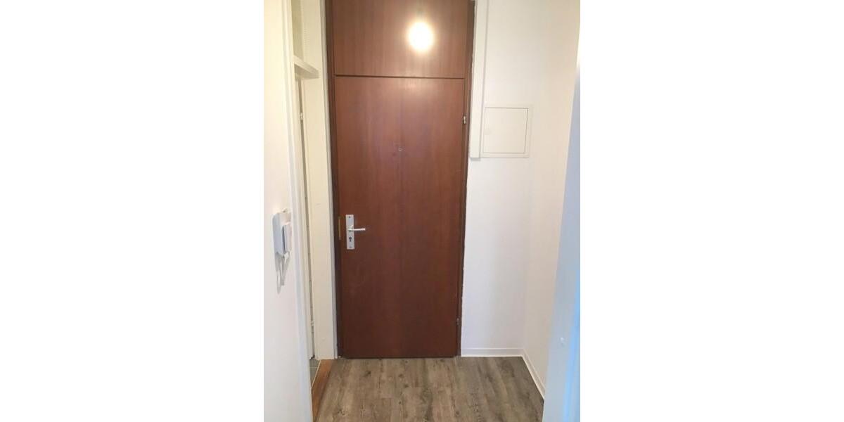 Ab sofort frei! - renoviertes 1-Zi.-Appartment mit Singleküche 1 zimmer