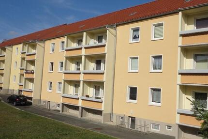 renovierte 3-Raumwohnung ab 01.01.2026 zu vermieten 3 zimmer