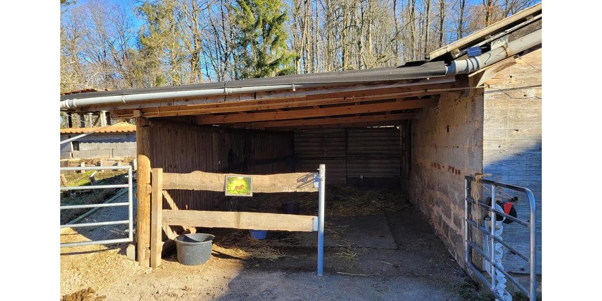 Etagenwohnung Pelm - 1 Zimmer, 16 m&sup2;, 450&euro; | Angebot:25323598