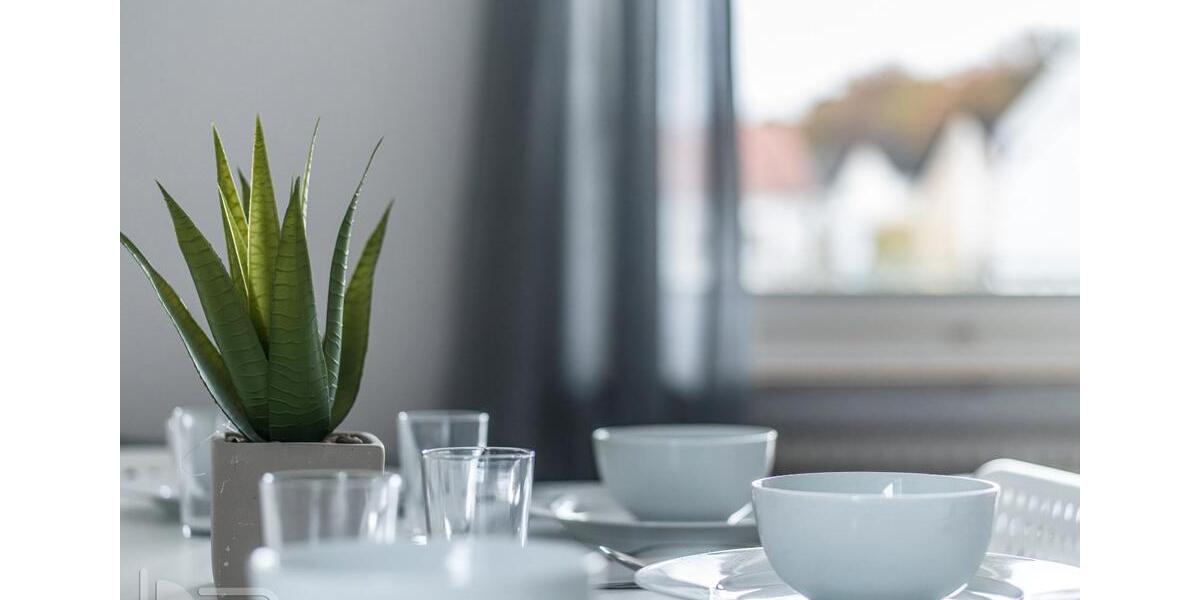 Wohnen auf Zeit Mörfelden-Walldorf Walldorf - 3 Zimmer, 72 m&sup2;, 18&euro; | Angebot:26505056