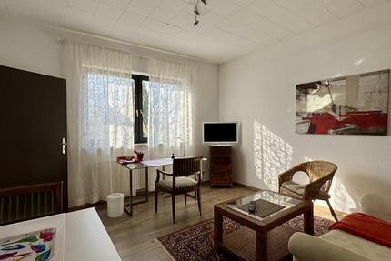 Wohnung Ingelheim am Rhein - 1 Zimmer, 58 m&sup2;, 580&euro; | Angebot:25963252