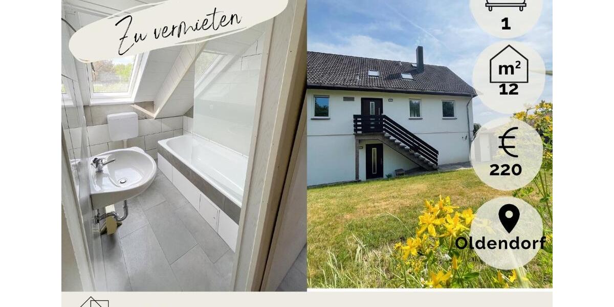 **Gemütliche 1Zi-Whg modern renoviert in Oldendorf zu vermieten** 1 zimmer