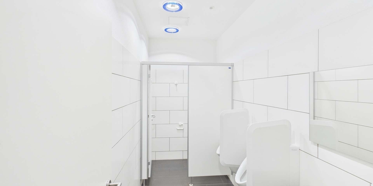 Moderne Büro- Schulungsfläche mit großen Räumen - Gewerbeobjekt Magdeburg Ottersleben | Angebot:25717450