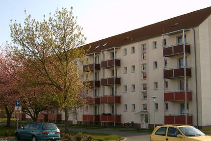 Wohnung Tribsees - 2 Zimmer, 48 m&sup2;, 314&euro; | Angebot:19459851