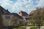 Etagenwohnung Weißenburg in Bayern - 1 Zimmer, 50 m&sup2;, 600&euro; | Angebot:26387113