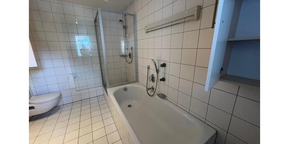 Penthouse-Wohnung (100qm Terrasse) zu vermieten (3 Zi.) Mühlacker 3 zimmer