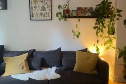 Wohnung Delmenhorst - 2 Zimmer, 50 m&sup2;, 1.050&euro; | Angebot:25095875