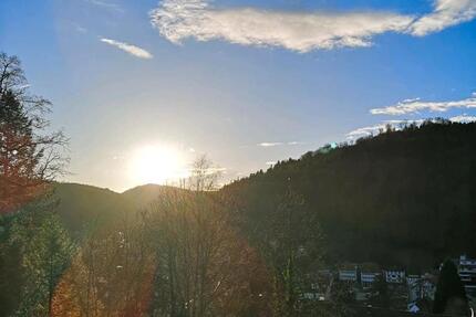 Wohnung Bad Herrenalb - 1 Zimmer, 25 m&sup2;, 690&euro; | Angebot:24600189