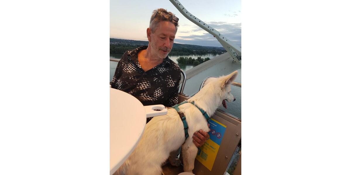 Etagenwohnung Allendorf (Lumda) - 2 Zimmer, 51 m&sup2;, 520&euro; | Angebot:24771285