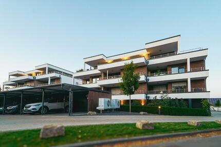 3 ZKB Wohnung in Wirges zum 01.02.2026 zu vermieten 3 zimmer