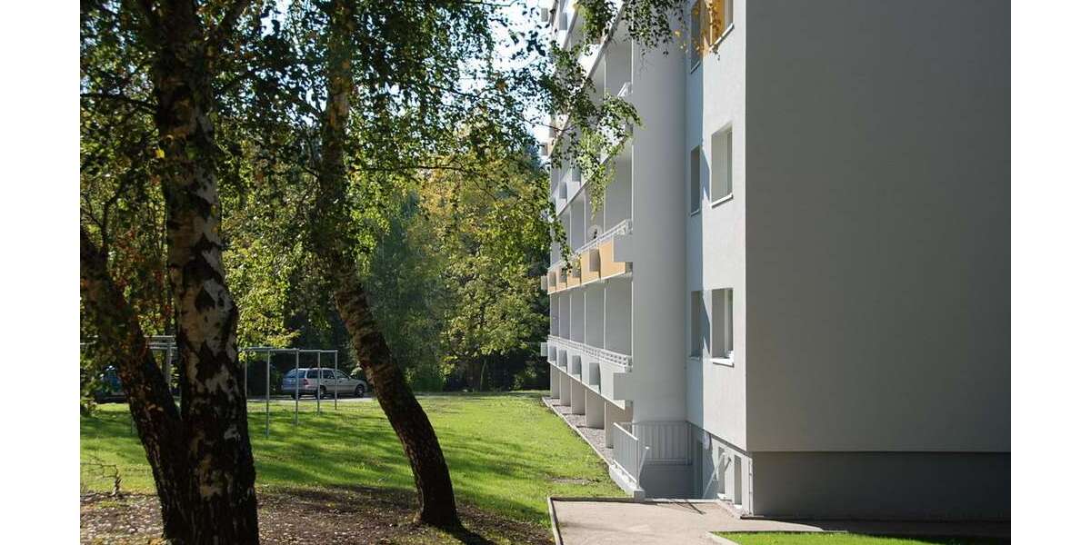 Etagenwohnung Chemnitz Borna-Heinersdorf - 1 Zimmer, 36 m&sup2;, 245&euro; | Angebot:26512088