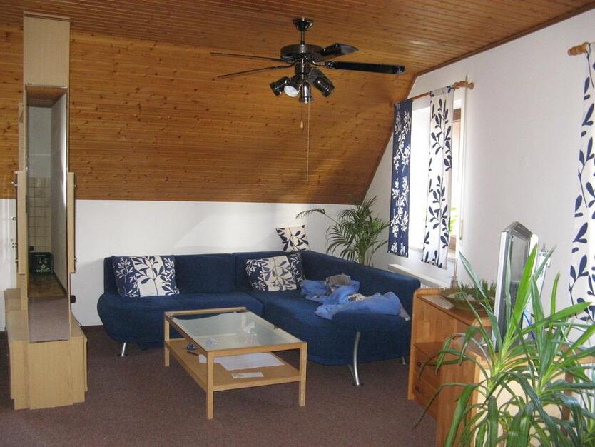 1-Zimmer-Wohnung