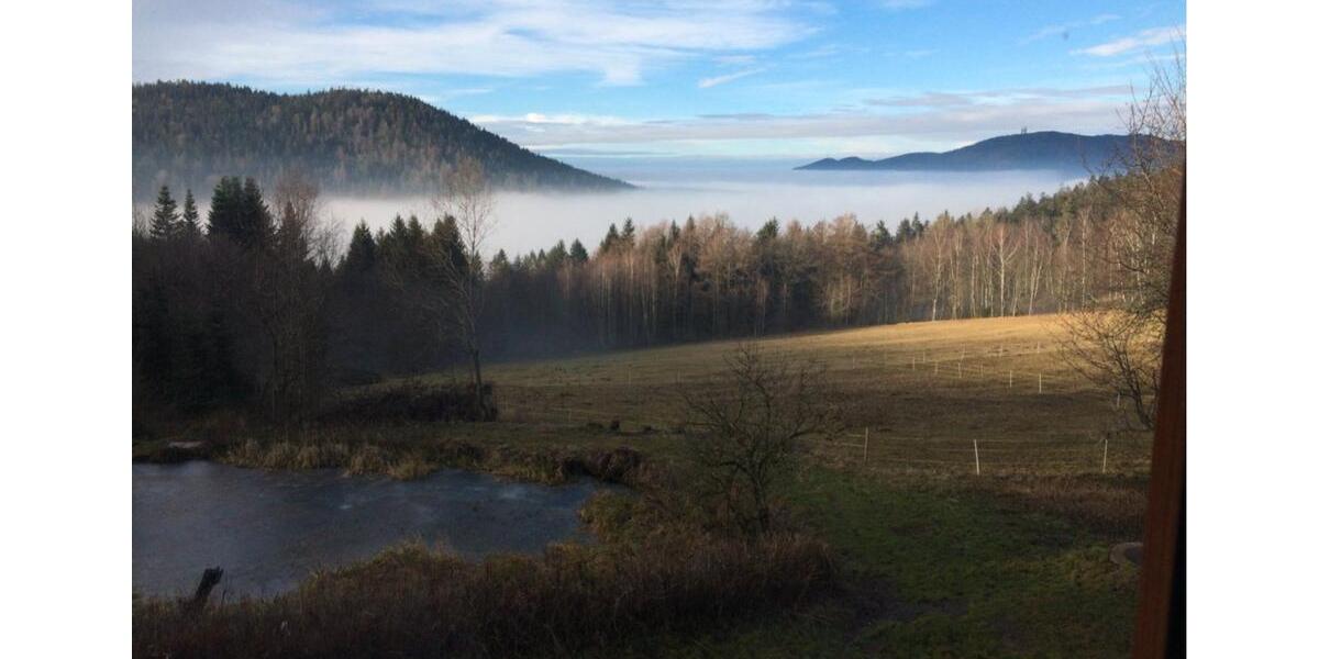 Etagenwohnung Arrach - 3.5 Zimmer, 450&euro; | Angebot:11047614