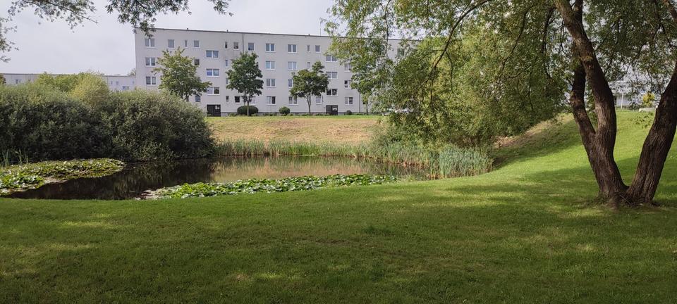 Etagenwohnung Mölln - 2 Zimmer, 52 m&sup2;, 317&euro; | Angebot:24577317
