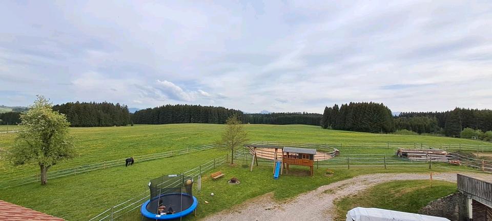 Dachgeschoßwohnung Marktoberdorf - 2 Zimmer, 85 m&sup2;, 1.080&euro; | Angebot:26413857