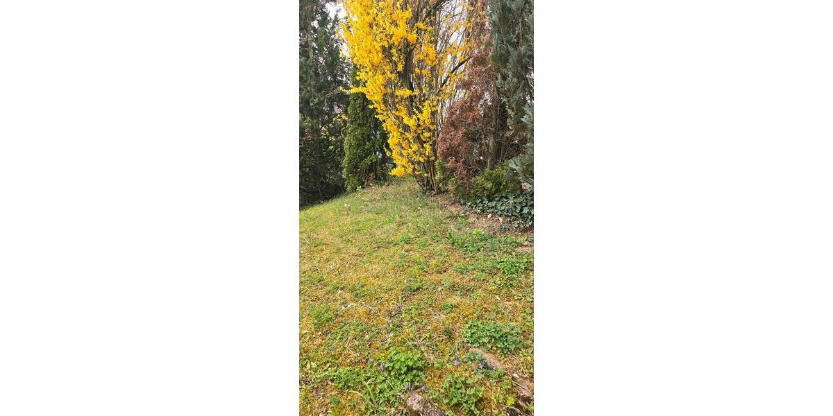 Terrassenwohnung Vaihingen an der Enz - 2 Zimmer, 72 m&sup2;, 950&euro; | Angebot:26626703