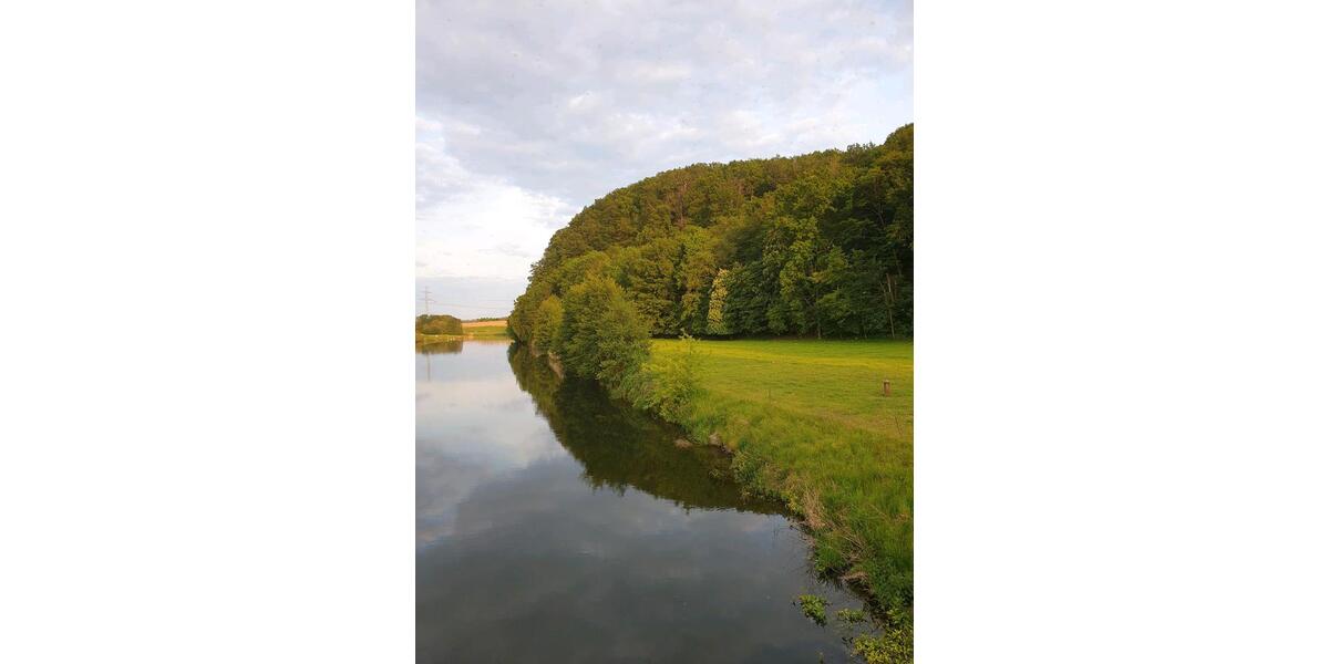 Hochparterre Waldheim - 5 Zimmer, 137 m&sup2;, 950&euro; | Angebot:25309793