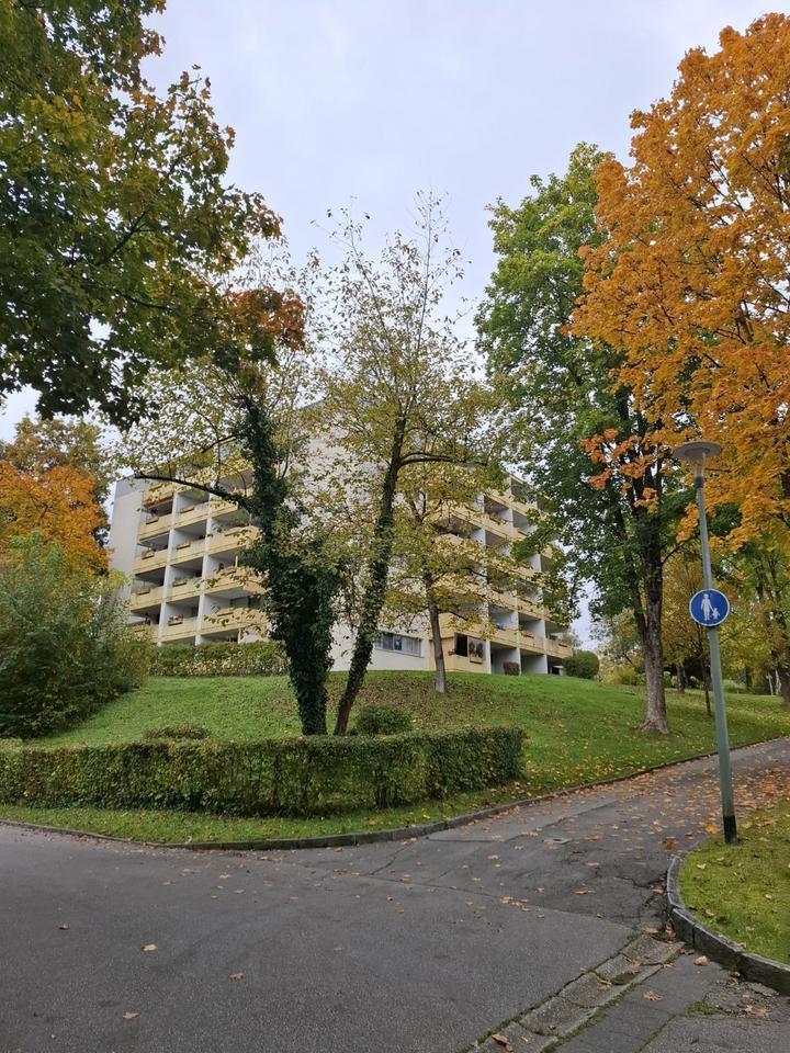 2-Zimmer-Wohnung zimmer