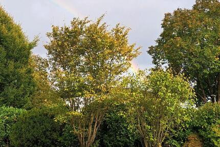 Wohnen auf Zeit Aschaffenburg Damm - 1 Zimmer, 14 m&sup2;, 600&euro; | Angebot:25956614