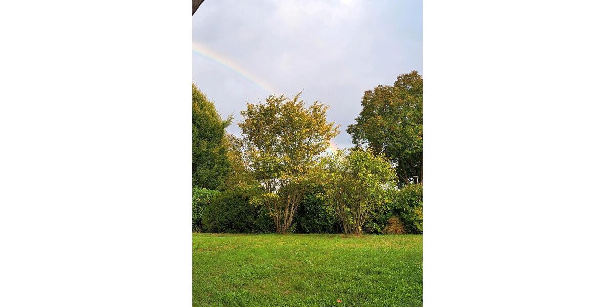 Wohnen auf Zeit Aschaffenburg Damm - 1 Zimmer, 14 m&sup2;, 600&euro; | Angebot:25956614