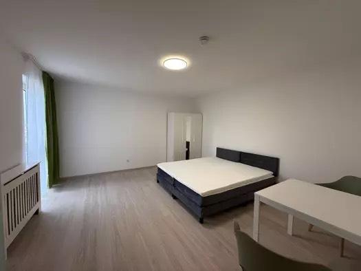 Helle 1-Zimmer-Wohnung mit Terrasse in Koblenz-Güls zimmer