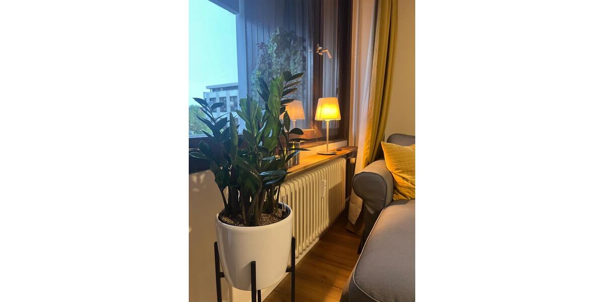 Wohnen auf Zeit Karlsruhe - 1 Zimmer, 35 m&sup2;, 1.150&euro; | Angebot:26219657