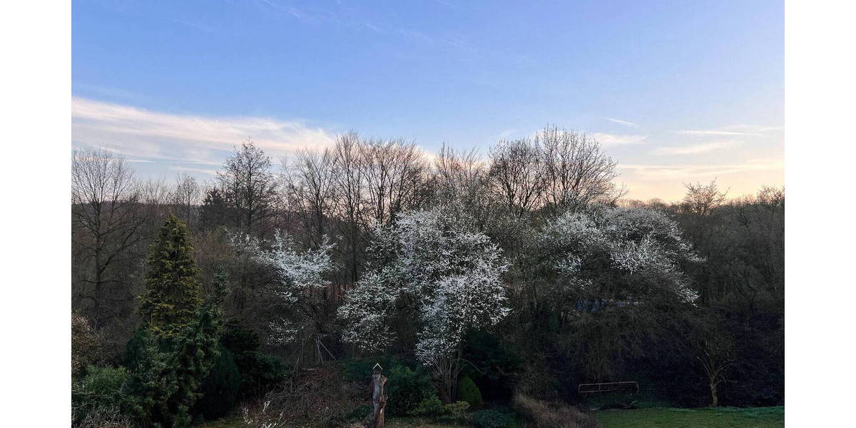 Einfamilienhaus Bielefeld Innenstadt - 9 Zimmer, 230 m&sup2;, 3.550&euro; | Angebot:26155754