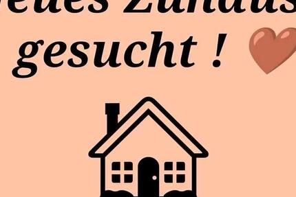 Miete Wohnung 4 zimmer