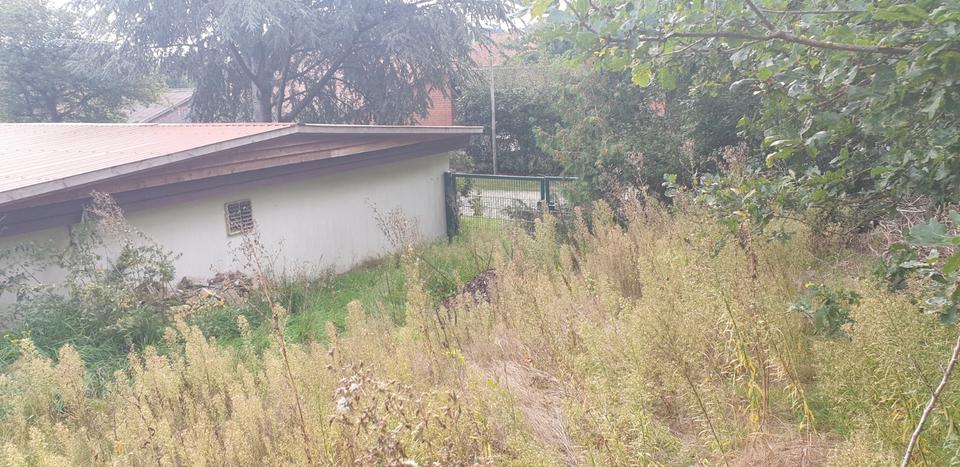 Gewerbeobjekt Kirchlinteln - 50&euro; | Angebot:24565665