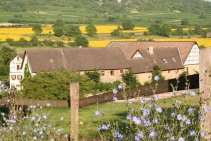 Dachgeschosswohnung in der Eulenmühle in Ingelheim 2 zimmer