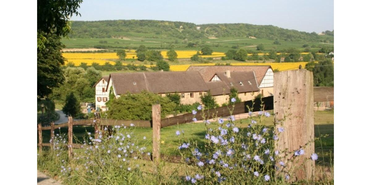 Dachgeschosswohnung in der Eulenmühle in Ingelheim 2 zimmer