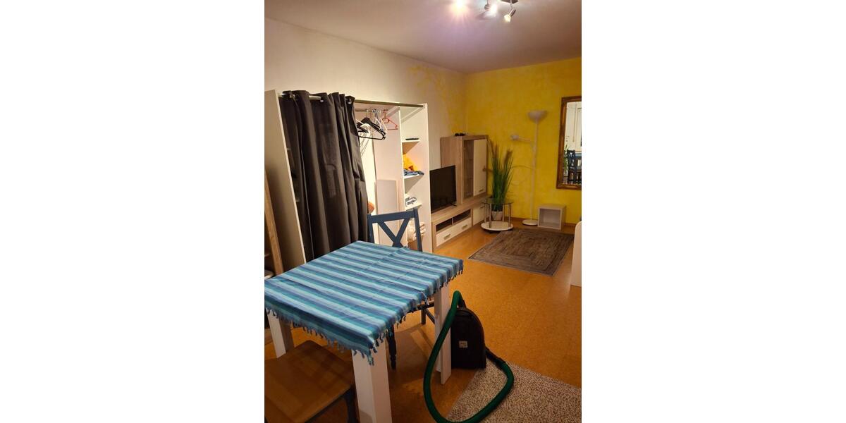 Wohnen auf Zeit Bühlertal - 1 Zimmer, 20 m&sup2;, 550&euro; | Angebot:25901270