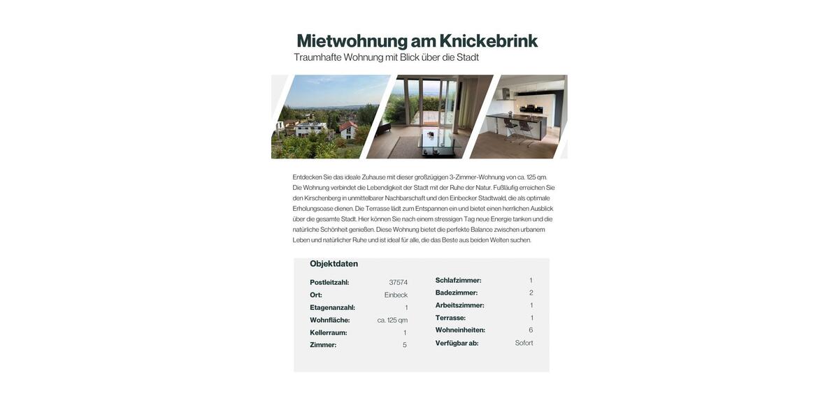 Erdgeschoßwohnung Einbeck - 2 Zimmer, 125 m&sup2;, 1.200&euro; | Angebot:25173488