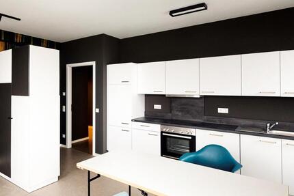 Furnished! 1-room apartment with fully-equipped kitchen zimmer