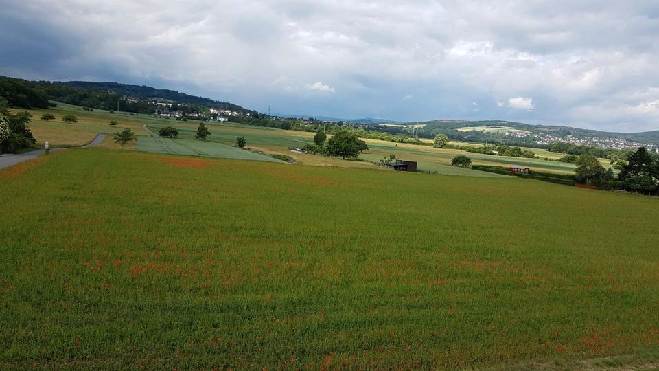 Etagenwohnung Solms - 3.5 Zimmer, 125 m&sup2;, 1.100&euro; | Angebot:26194633