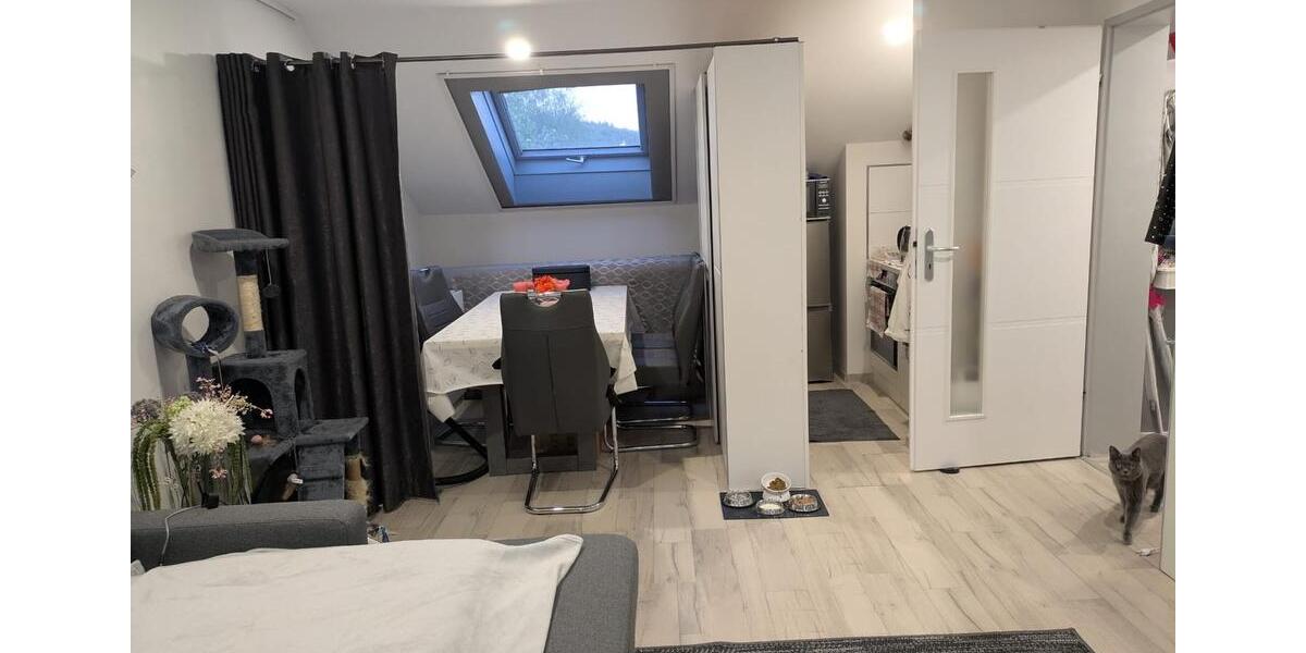 Dachgeschoßwohnung Küssaberg - 1.5 Zimmer, 40 m&sup2;, 660&euro; | Angebot:26697080