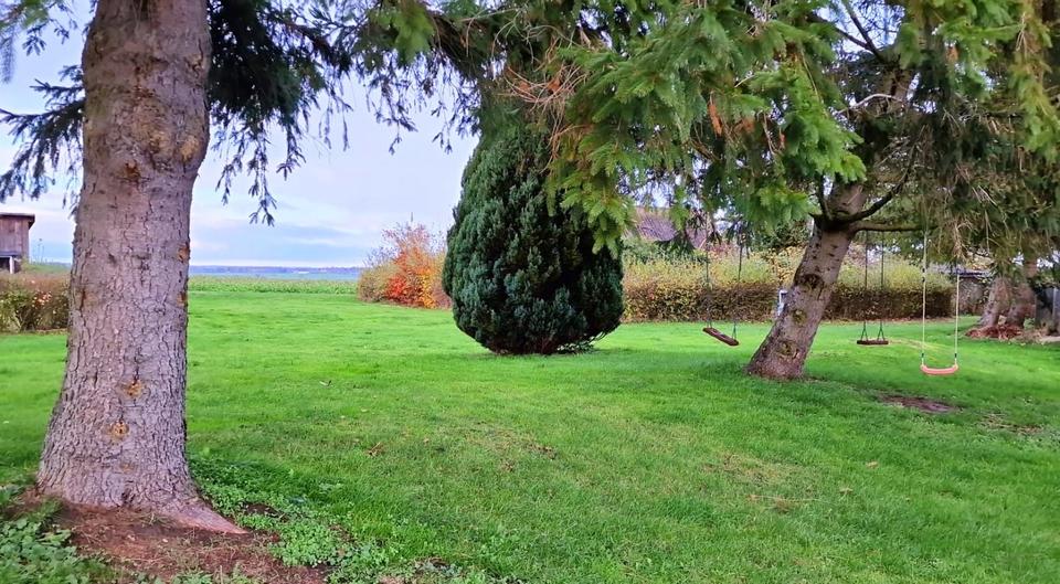 Etagenwohnung Jördenstorf - 3 Zimmer, 56 m&sup2;, 375&euro; | Angebot:25570416