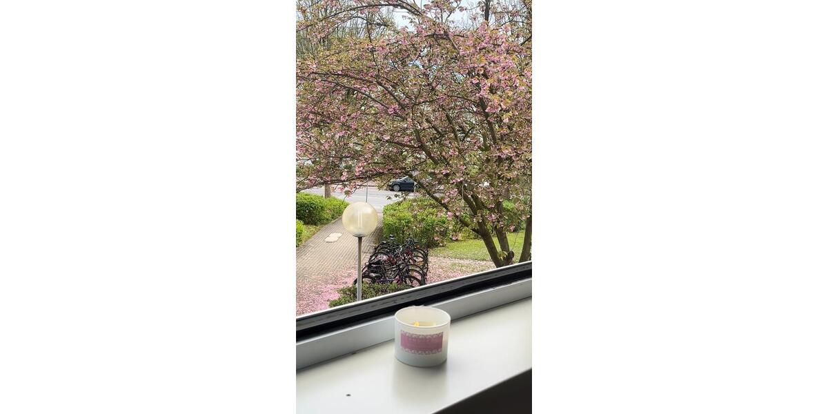 Wohnen auf Zeit Dortmund Hombruch - 16 Zimmer, 60 m&sup2;, 323&euro; | Angebot:24681222