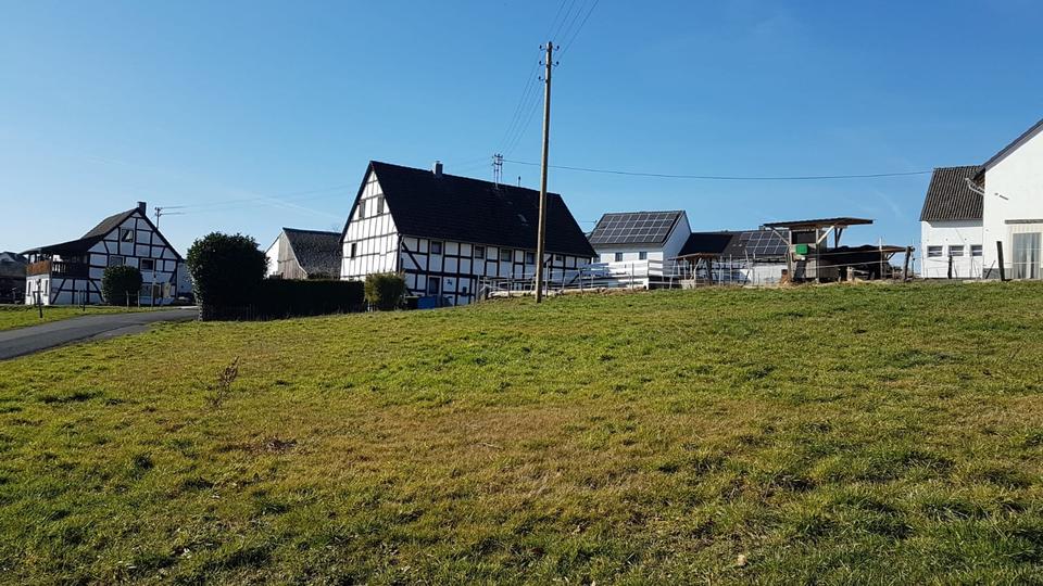 Wohnen auf Zeit Neunkirchen-Seelscheid Seelscheid - 2 Zimmer, 60 m&sup2;, 990&euro; | Angebot:24689119