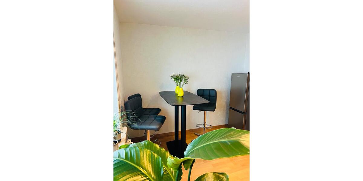 Wohnen auf Zeit Erlangen Alterlangen - 1 Zimmer, 19 m&sup2;, 510&euro; | Angebot:24753108