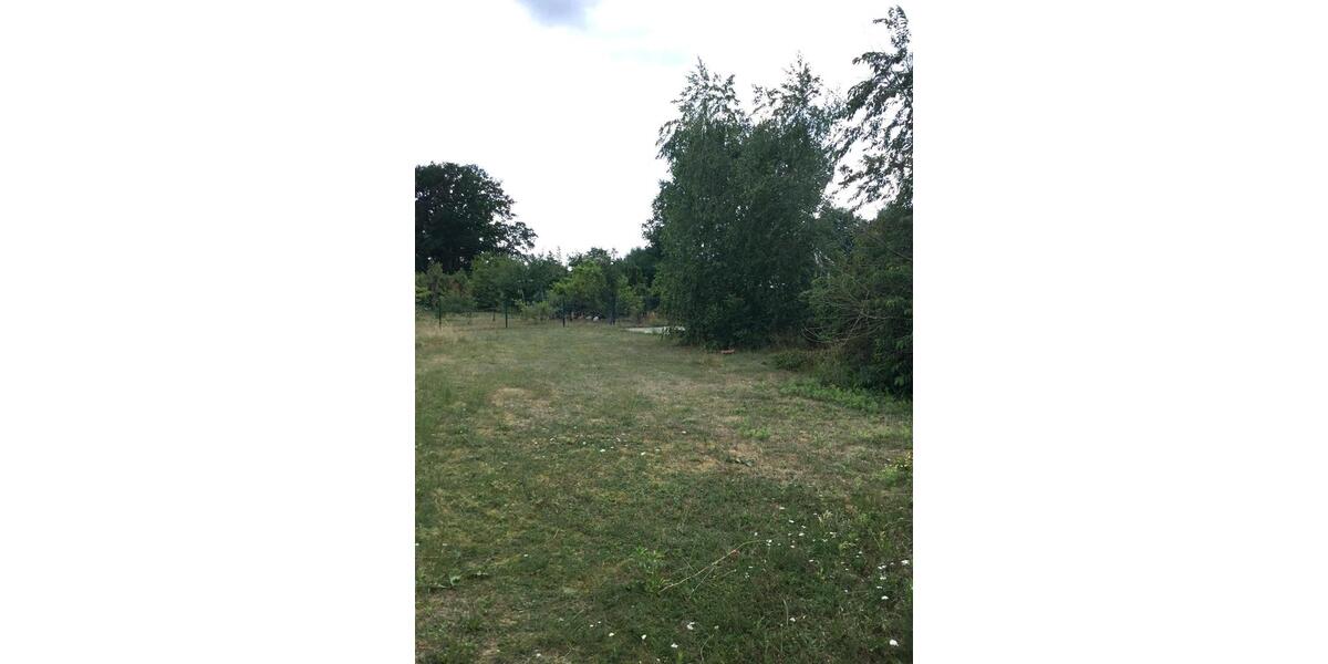 Doppelhaushälfte Müden (Aller) - 4 Zimmer, 114 m&sup2;, 1.250&euro; | Angebot:25217300