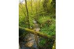 Gewerbeobjekt Wald-Michelbach Michelbach - 195&euro; | Angebot:25991914