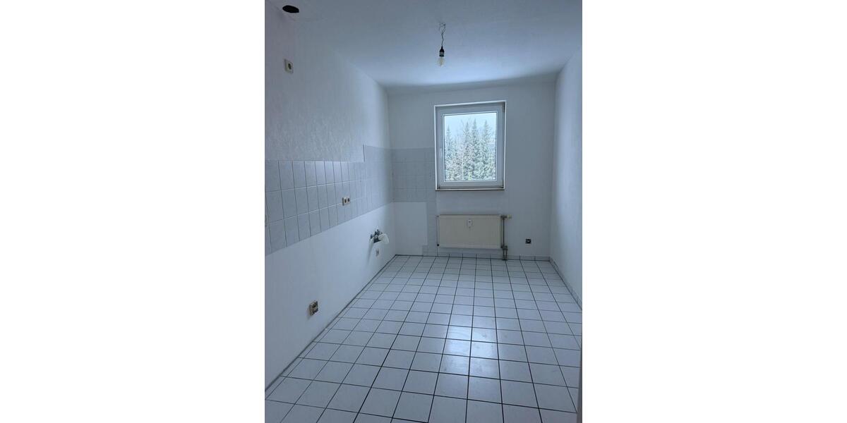 Dachgeschoßwohnung Bockenem - 4 Zimmer, 99 m&sup2;, 680&euro; | Angebot:26047031