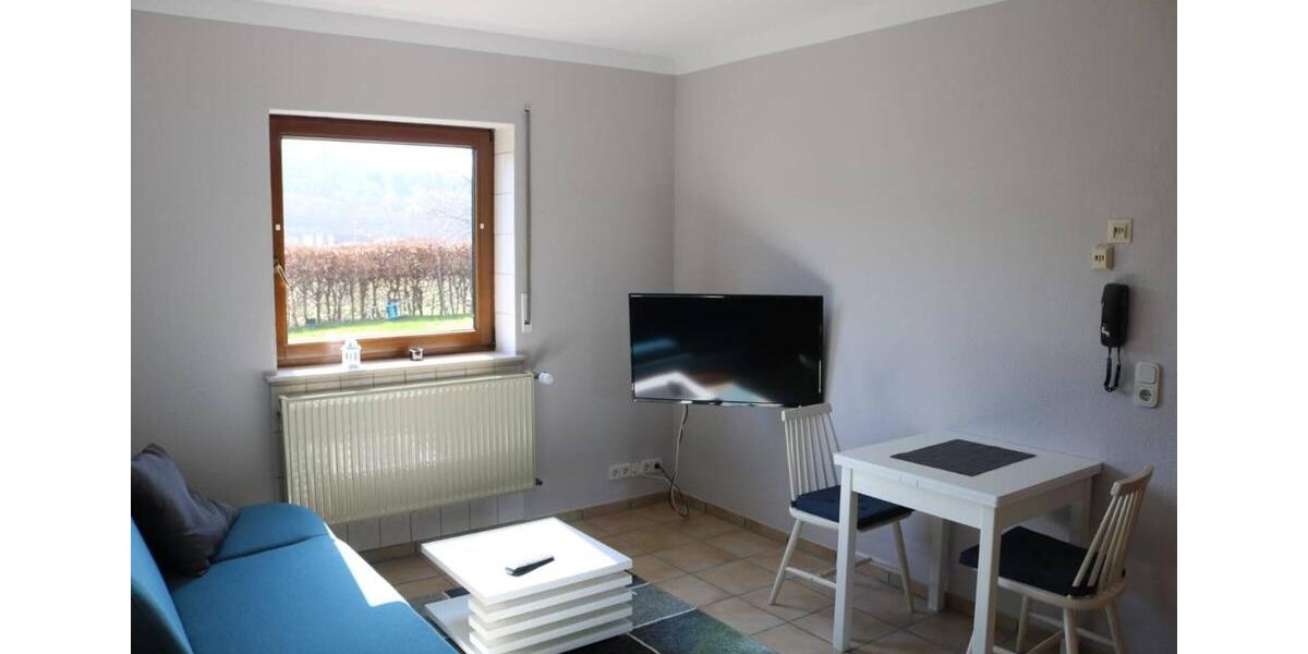 Wohnen auf Zeit Birkenfeld - 1 Zimmer, 40 m&sup2;, 45&euro; | Angebot:26042713