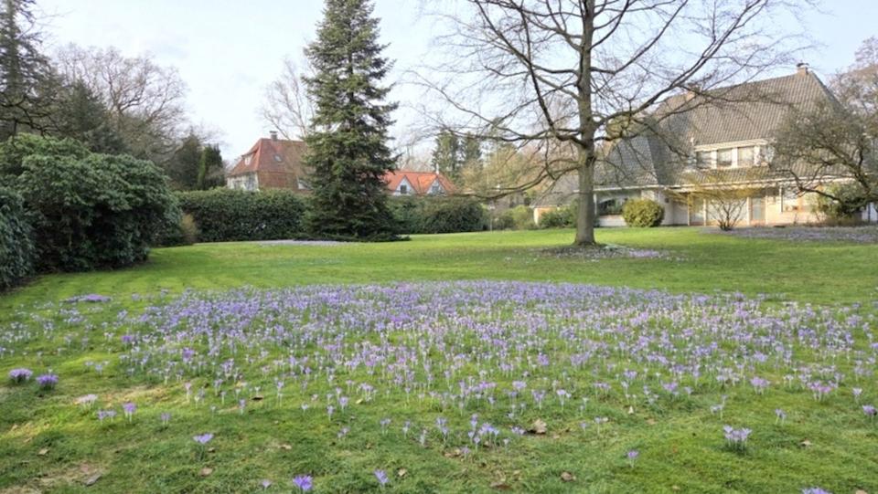 Einfamilienhaus Ganderkesee - 8 Zimmer, 257 m&sup2;, 1.500&euro; | Angebot:25307610